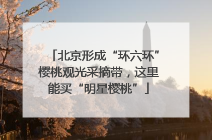 北京形成“环六环”樱桃观光采摘带，这里能买“明星樱桃”
