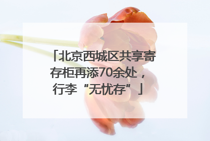北京西城区共享寄存柜再添70余处，行李“无忧存”