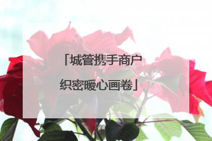 城管携手商户 织密暖心画卷