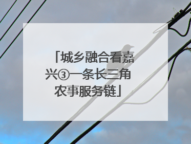城乡融合看嘉兴③一条长三角农事服务链