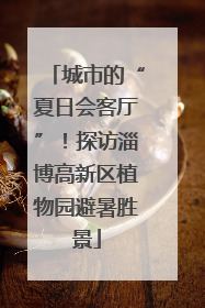 城市的“夏日会客厅”！探访淄博高新区植物园避暑胜景