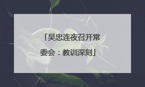 吴忠连夜召开常委会：教训深刻