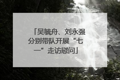 吴毓舟、刘永强分别带队开展“七一”走访慰问