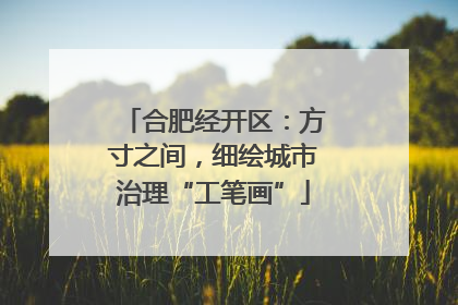 合肥经开区：方寸之间，细绘城市治理“工笔画”
