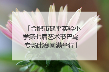 合肥市建平实验小学第七届艺术节巴乌专场比赛圆满举行