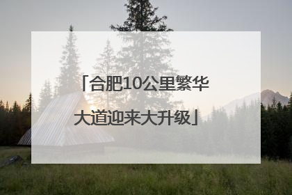 合肥10公里繁华大道迎来大升级