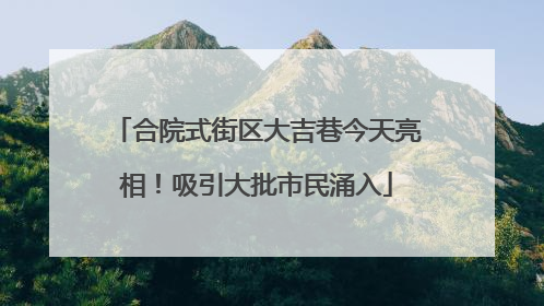 合院式街区大吉巷今天亮相！吸引大批市民涌入