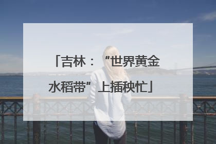 吉林：“世界黄金水稻带”上插秧忙