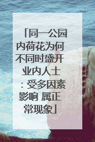 同一公园内荷花为何不同时盛开 业内人士：受多因素影响 属正常现象