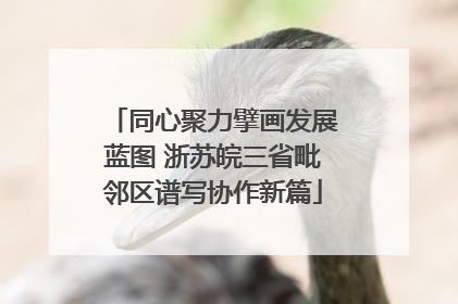 同心聚力擘画发展蓝图 浙苏皖三省毗邻区谱写协作新篇