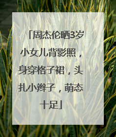 周杰伦晒3岁小女儿背影照，身穿格子裙，头扎小辫子，萌态十足