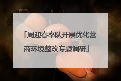 周迎春率队开展优化营商环境整改专题调研