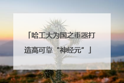 哈工大为国之重器打造高可靠“神经元”