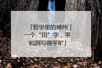 哲学里的郴州｜一个“田”字，平和洞写得平旷