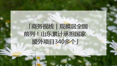 商务视线｜规模居全国前列！山东累计承担国家援外项目340多个