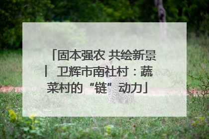 固本强农 共绘新景 ︳卫辉市南社村：蔬菜村的“链”动力