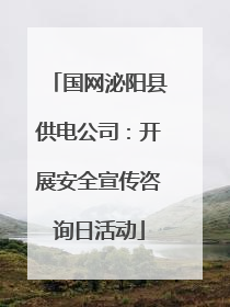 国网泌阳县供电公司：开展安全宣传咨询日活动