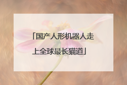 国产人形机器人走上全球最长猫道