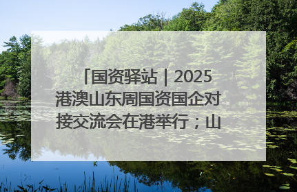 国资驿站｜2025港澳山东周国资国企对接交流会在港举行；山东黄金成功在境外发行3亿美元绿色债券