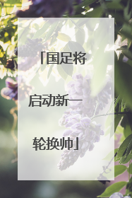 国足将启动新一轮换帅