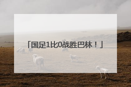 国足1比0战胜巴林！