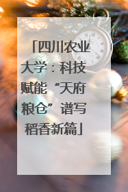 四川农业大学：科技赋能“天府粮仓”谱写稻香新篇