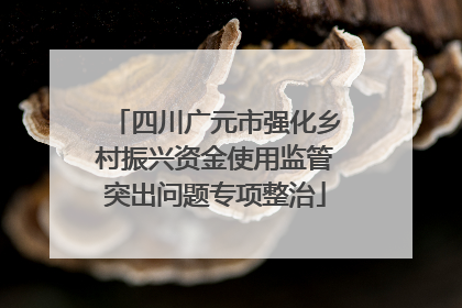 四川广元市强化乡村振兴资金使用监管突出问题专项整治