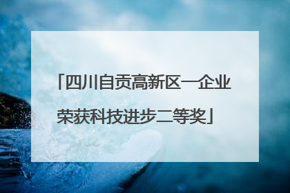 四川自贡高新区一企业荣获科技进步二等奖