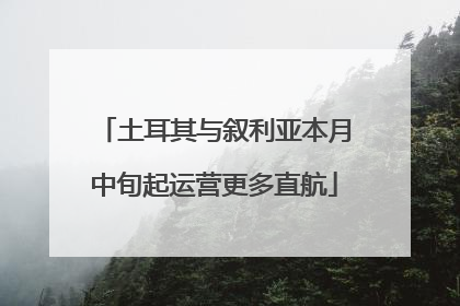 土耳其与叙利亚本月中旬起运营更多直航