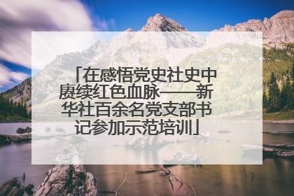 在感悟党史社史中赓续红色血脉——新华社百余名党支部书记参加示范培训