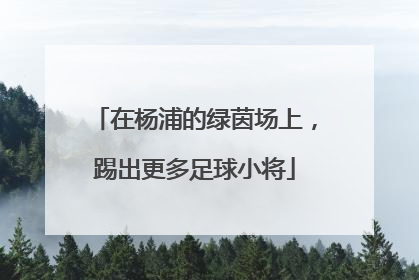 在杨浦的绿茵场上，踢出更多足球小将