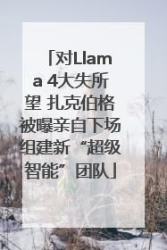 对Llama 4大失所望 扎克伯格被曝亲自下场组建新“超级智能”团队