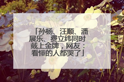 孙杨、汪顺、潘展乐、费立纬同时戴上金牌，网友：看懂的人都哭了