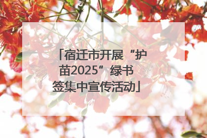 宿迁市开展“护苗2025”绿书签集中宣传活动
