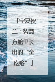 宁夏贺兰：智慧方舱里长出的“金疙瘩”