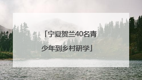 宁夏贺兰40名青少年到乡村研学