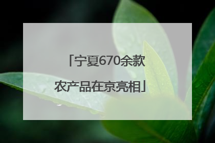 宁夏670余款农产品在京亮相