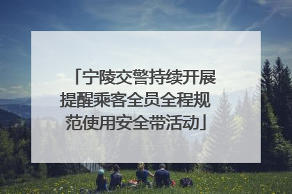 宁陵交警持续开展提醒乘客全员全程规范使用安全带活动