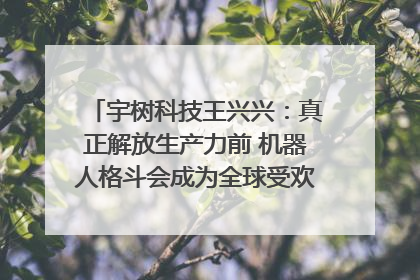 宇树科技王兴兴：真正解放生产力前 机器人格斗会成为全球受欢迎的赛事｜科技观察