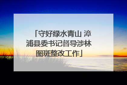 守好绿水青山 漳浦县委书记督导涉林图斑整改工作