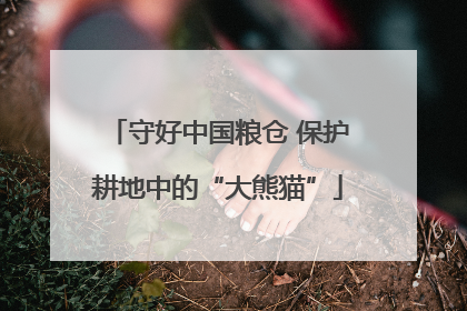 守好中国粮仓 保护耕地中的“大熊猫”