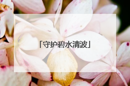 守护碧水清波