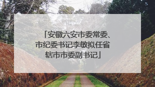 安徽六安市委常委、市纪委书记李敏拟任省辖市市委副书记
