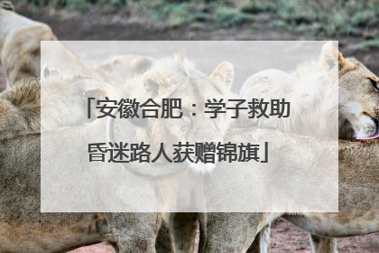 安徽合肥：学子救助昏迷路人获赠锦旗