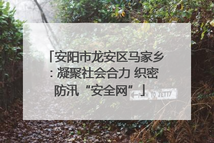 安阳市龙安区马家乡：凝聚社会合力 织密防汛“安全网”