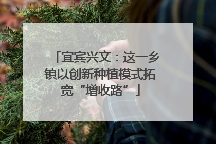 宜宾兴文：这一乡镇以创新种植模式拓宽“增收路”