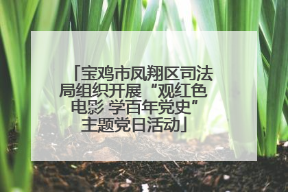宝鸡市凤翔区司法局组织开展“观红色电影 学百年党史”主题党日活动
