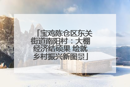 宝鸡陈仓区东关街道南阳村：大棚经济结硕果 绘就乡村振兴新图景