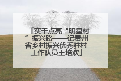 实干点亮“明星村”振兴路——记贵州省乡村振兴优秀驻村工作队员王培欢