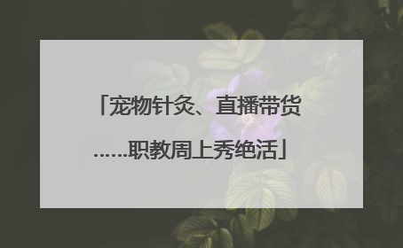 宠物针灸、直播带货……职教周上秀绝活